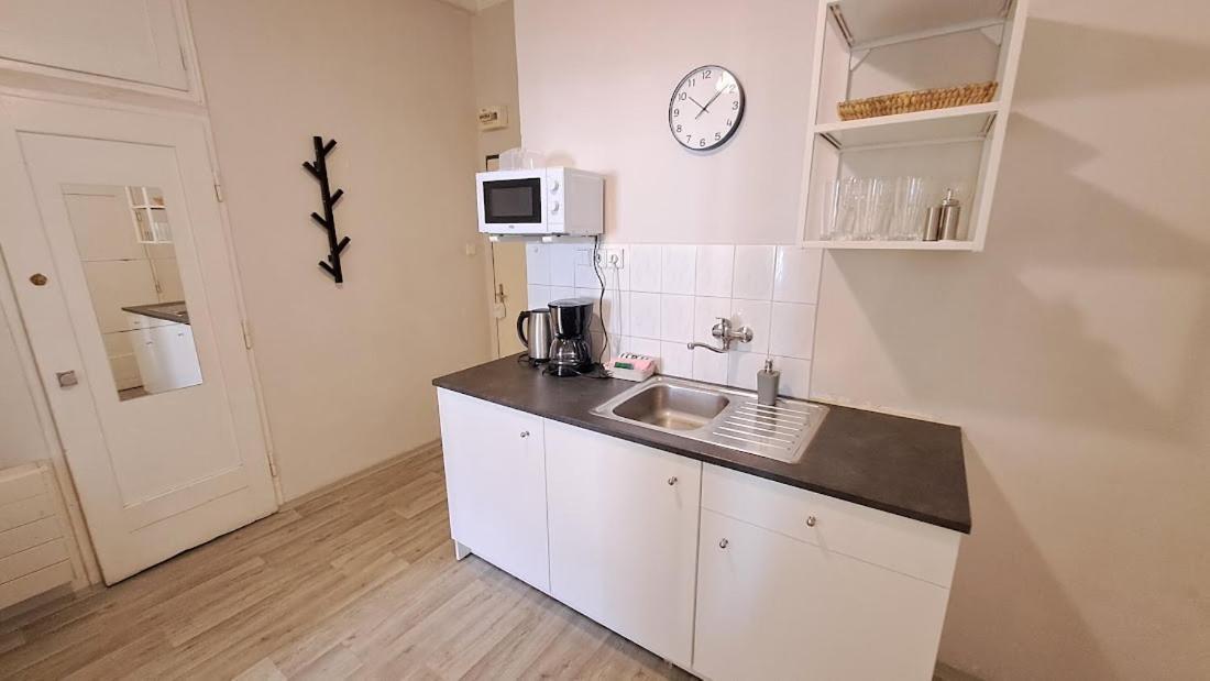Flat In Zizkov -402- Appartamento Praga