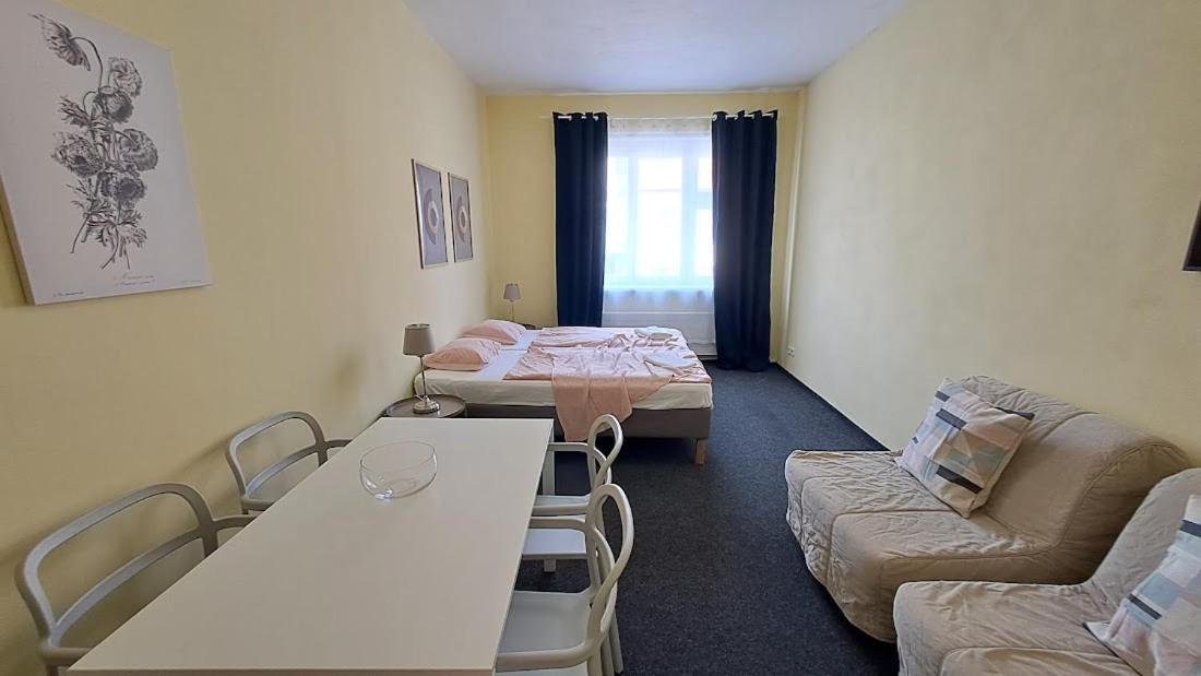 Flat In Zizkov -402- Praga